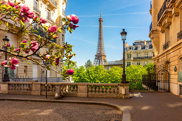 Paris City overseeing the eiffel tower